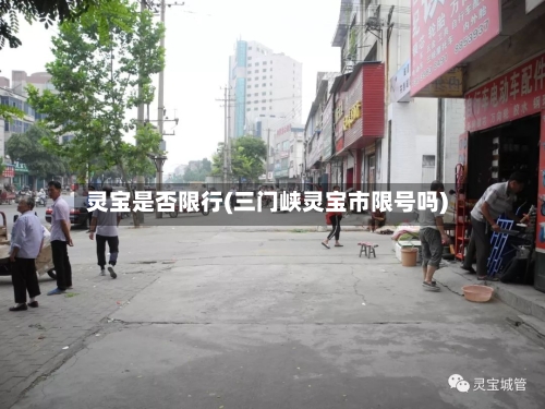 灵宝是否限行(三门峡灵宝市限号吗)