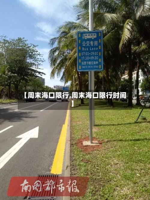 【周末海口限行,周末海口限行时间】