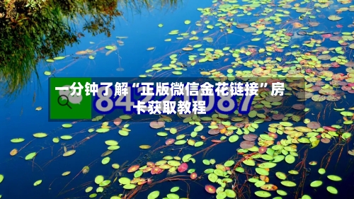 一分钟了解“正版微信金花链接”房卡获取教程-第2张图片
