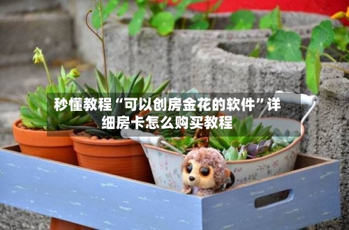 秒懂教程“可以创房金花的软件”详细房卡怎么购买教程-第2张图片