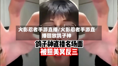 火影忍者手游直播/火影忍者手游直播回放鸽子神-第3张图片
