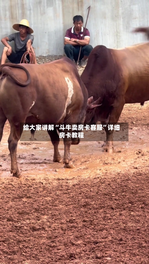 给大家讲解“斗牛卖房卡客服”详细房卡教程