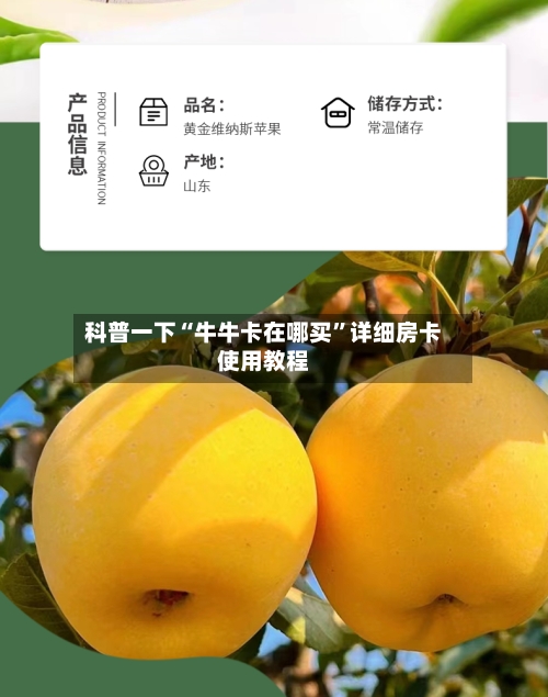 科普一下“牛牛卡在哪买	”详细房卡使用教程-第2张图片