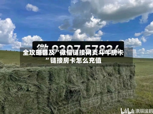 全攻略普及“微信链接网页斗牛房卡”链接房卡怎么充值-第2张图片