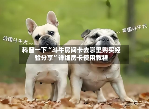 科普一下“斗牛房间卡去哪里购买经验分享”详细房卡使用教程-第2张图片