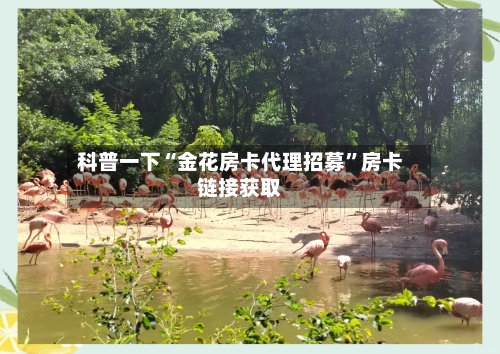 科普一下“金花房卡代理招募”房卡链接获取
