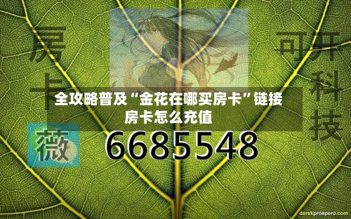 全攻略普及“金花在哪买房卡	”链接房卡怎么充值-第2张图片