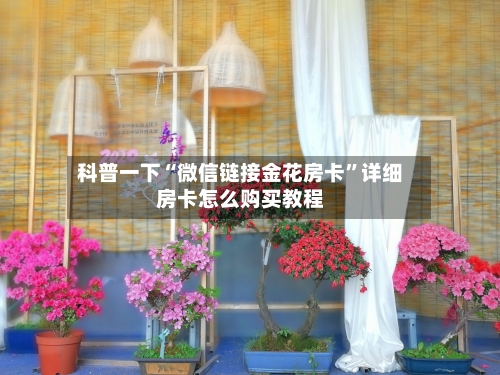 科普一下“微信链接金花房卡”详细房卡怎么购买教程