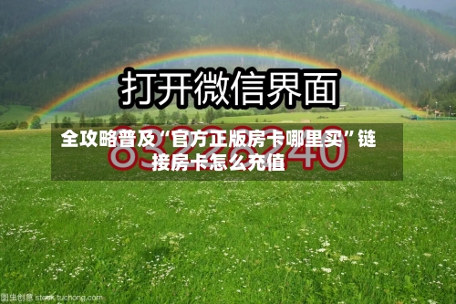 全攻略普及“官方正版房卡哪里买”链接房卡怎么充值-第3张图片