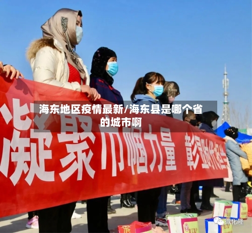 海东地区疫情最新/海东县是哪个省的城市啊