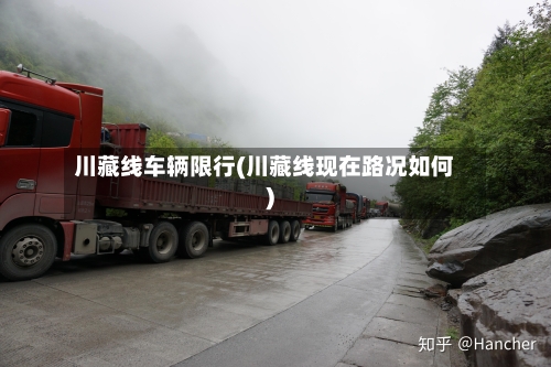 川藏线车辆限行(川藏线现在路况如何)-第2张图片