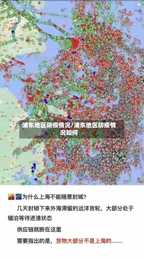 浦东地区防疫情况/浦东地区防疫情况如何-第2张图片