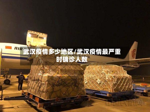 武汉疫情多少地区/武汉疫情最严重时确诊人数-第2张图片