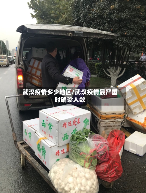 武汉疫情多少地区/武汉疫情最严重时确诊人数
