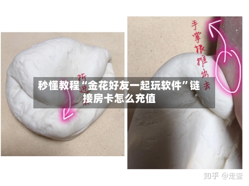 秒懂教程“金花好友一起玩软件”链接房卡怎么充值-第2张图片