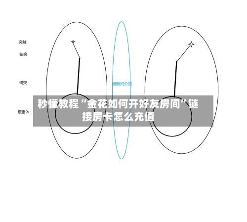 秒懂教程“金花如何开好友房间	”链接房卡怎么充值-第3张图片
