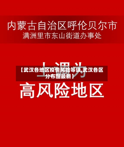 【武汉各地区疫情风险等级,武汉各区分布图最新】