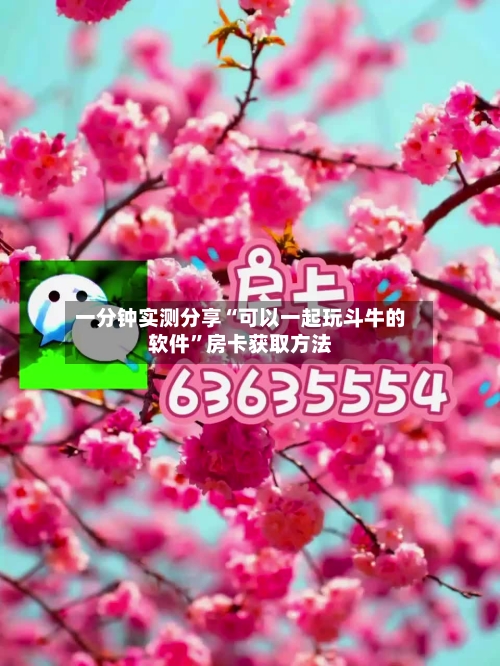 一分钟实测分享“可以一起玩斗牛的软件”房卡获取方法-第2张图片