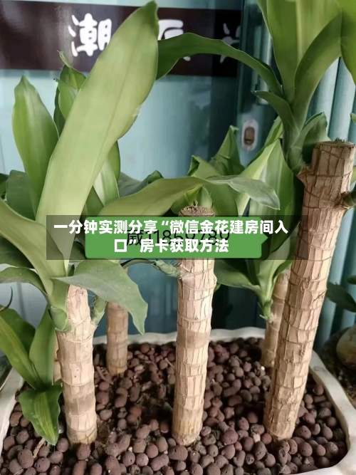 一分钟实测分享“微信金花建房间入口”房卡获取方法-第2张图片