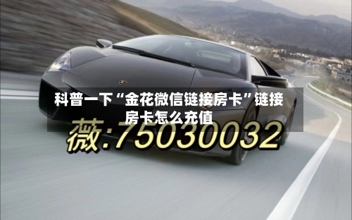 科普一下“金花微信链接房卡	”链接房卡怎么充值-第2张图片