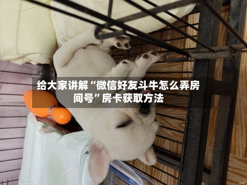 给大家讲解“微信好友斗牛怎么弄房间号”房卡获取方法