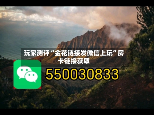 玩家测评“金花链接发微信上玩	”房卡链接获取-第2张图片