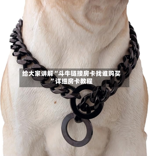 给大家讲解“斗牛链接房卡找谁购买	”详细房卡教程-第3张图片