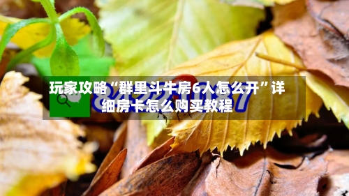 玩家攻略“群里斗牛房6人怎么开	”详细房卡怎么购买教程-第2张图片