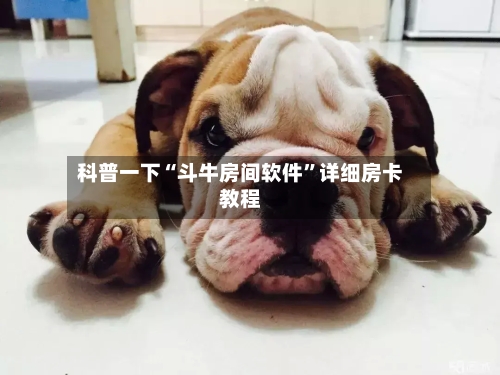 科普一下“斗牛房间软件”详细房卡教程-第2张图片
