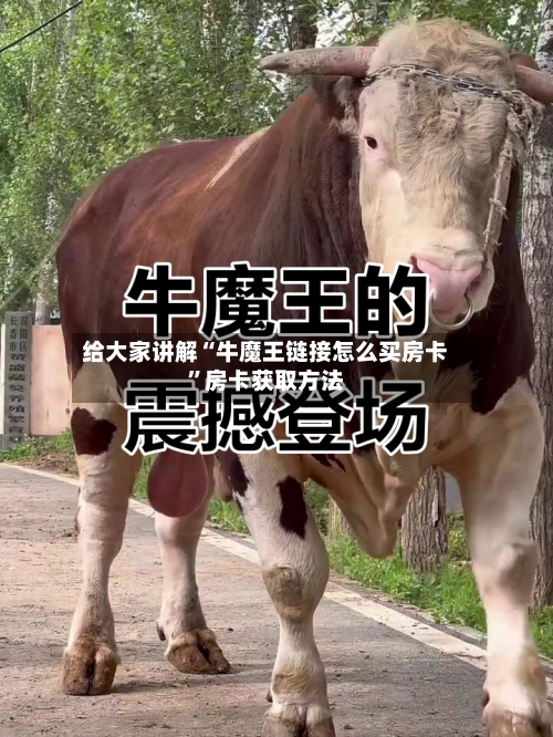 给大家讲解“牛魔王链接怎么买房卡”房卡获取方法-第2张图片