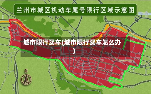 城市限行买车(城市限行买车怎么办)