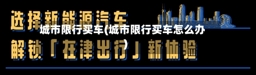 城市限行买车(城市限行买车怎么办)-第2张图片