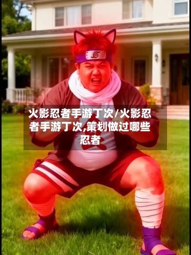 火影忍者手游丁次/火影忍者手游丁次,策划做过哪些忍者