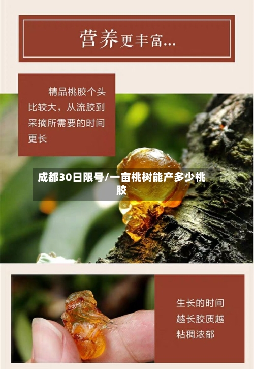成都30日限号/一亩桃树能产多少桃胶-第3张图片