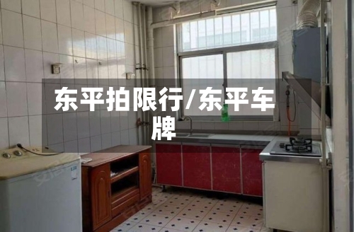 东平拍限行/东平车牌