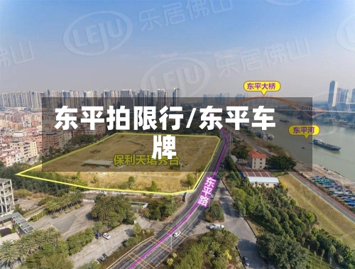 东平拍限行/东平车牌-第2张图片