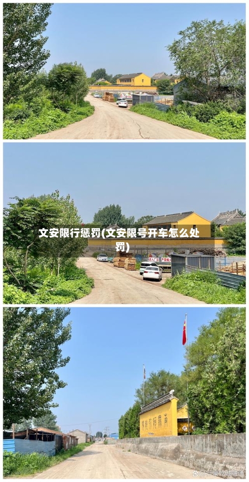 文安限行惩罚(文安限号开车怎么处罚)
