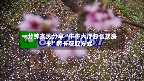 一分钟实测分享“牛牛大厅怎么买房卡	”房卡获取方式-第2张图片