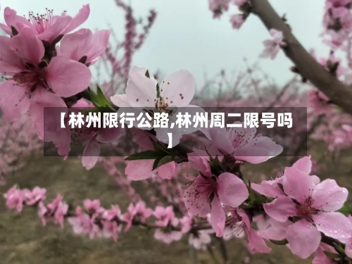 【林州限行公路,林州周二限号吗】