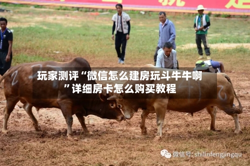 玩家测评“微信怎么建房玩斗牛牛啊”详细房卡怎么购买教程