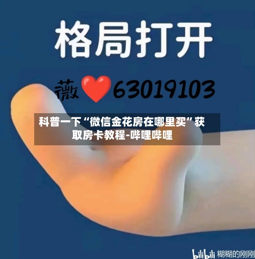 科普一下“微信金花房在哪里买”获取房卡教程-哔哩哔哩