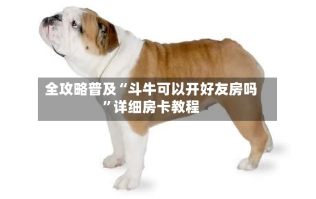 全攻略普及“斗牛可以开好友房吗”详细房卡教程