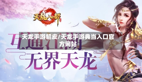 天龙手游貂皮/天龙手游典当入口官方网站-第2张图片