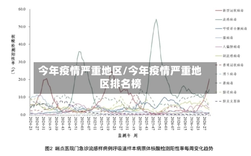 今年疫情严重地区/今年疫情严重地区排名榜