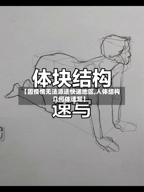 【因疫情无法派送快递地区,人体结构几何体速写】