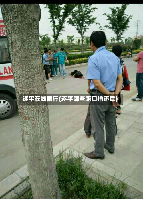 遂平在线限行(遂平哪些路口拍违章)