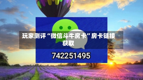 玩家测评“微信斗牛房卡”房卡链接获取-第2张图片
