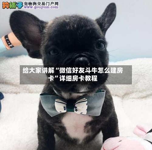 给大家讲解“微信好友斗牛怎么建房卡”详细房卡教程
