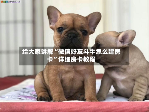 给大家讲解“微信好友斗牛怎么建房卡”详细房卡教程-第2张图片