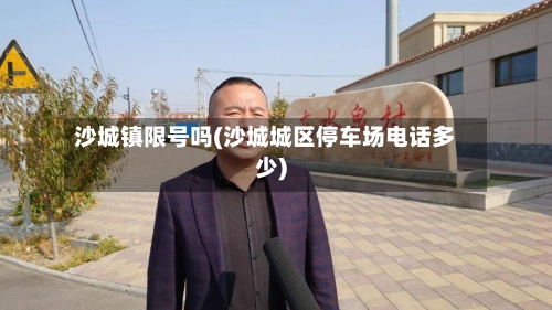 沙城镇限号吗(沙城城区停车场电话多少)